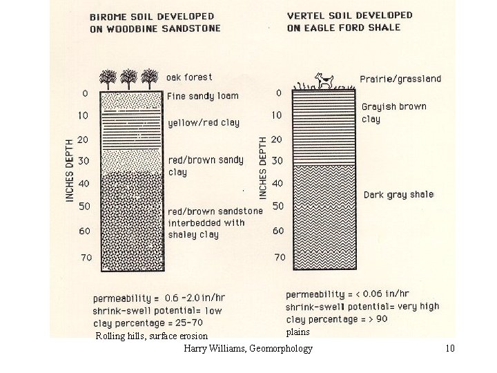 plains Rolling hills, surface erosion Harry Williams, Geomorphology 10 