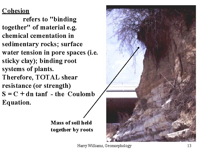 Cohesion refers to "binding together" of material e. g. chemical cementation in sedimentary rocks;