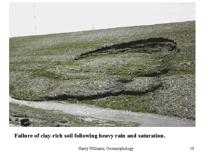 Failure of clay-rich soil following heavy rain and saturation. Harry Williams, Geomorphology 19 