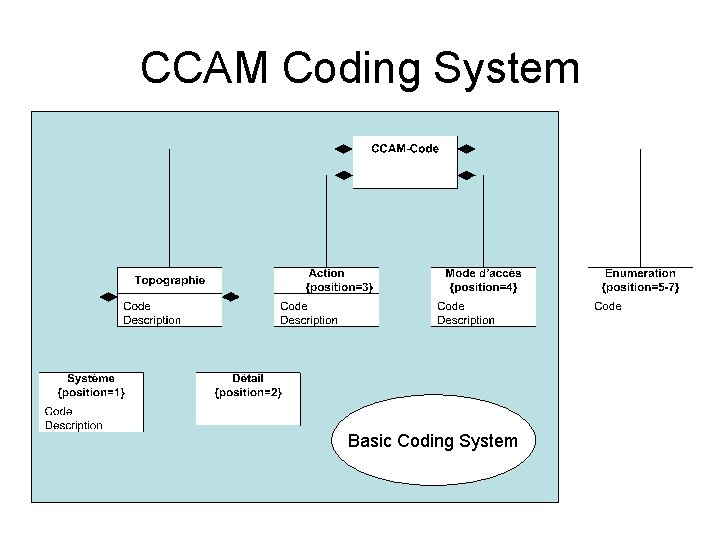 CCAM Coding System Basic Coding System 