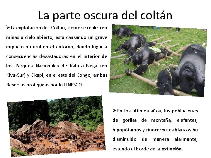 La parte oscura del coltán ØLa explotación del Coltan, como se realiza en minas La parte oscura del coltán ØLa explotación del Coltan, como se realiza en minas