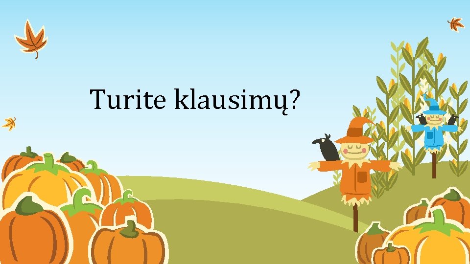 Turite klausimų? 