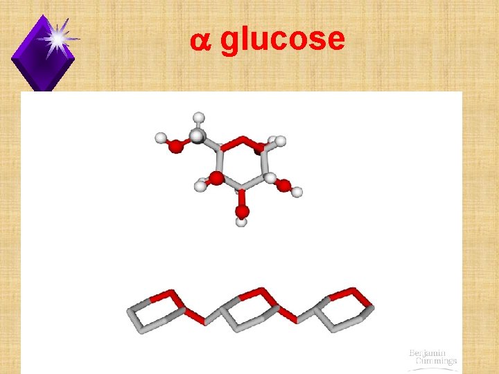 a glucose 