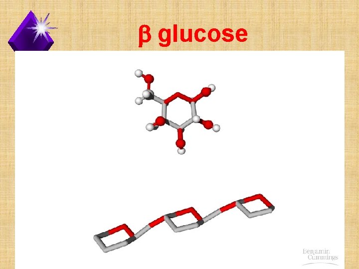 b glucose 
