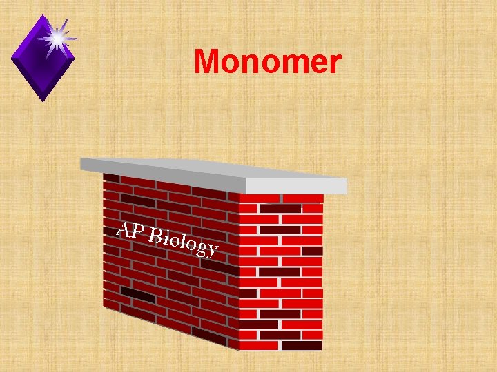 Monomer AP Bi ology 