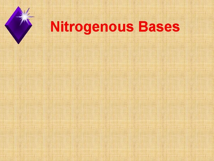 Nitrogenous Bases 