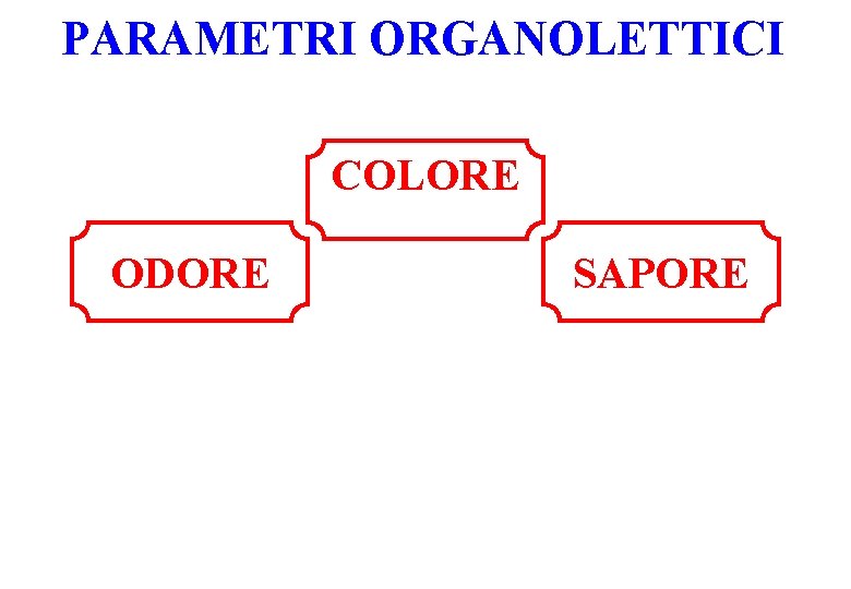 PARAMETRI ORGANOLETTICI COLORE ODORE SAPORE 