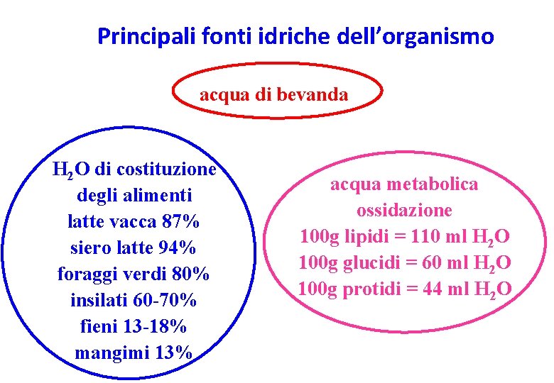 Principali fonti idriche dell’organismo acqua di bevanda H 2 O di costituzione degli alimenti