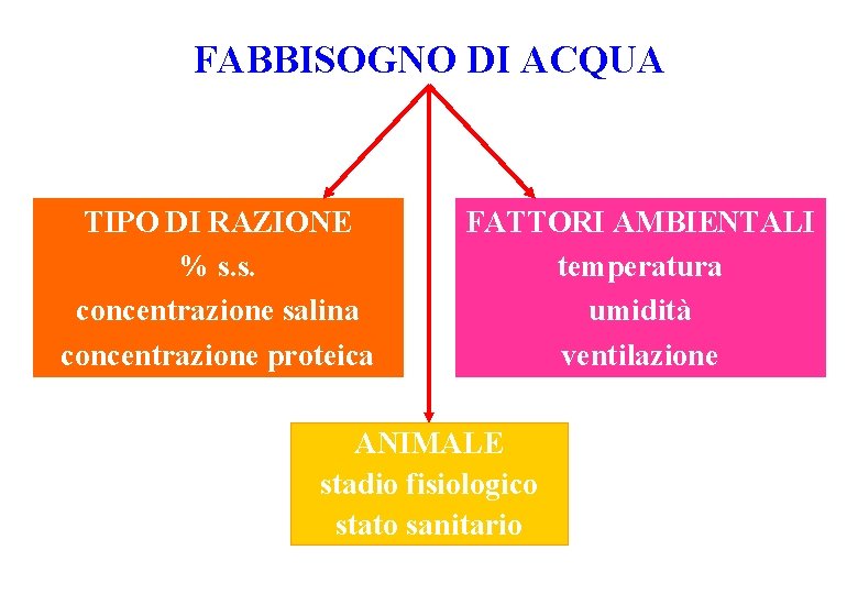 FABBISOGNO DI ACQUA TIPO DI RAZIONE % s. s. concentrazione salina concentrazione proteica FATTORI