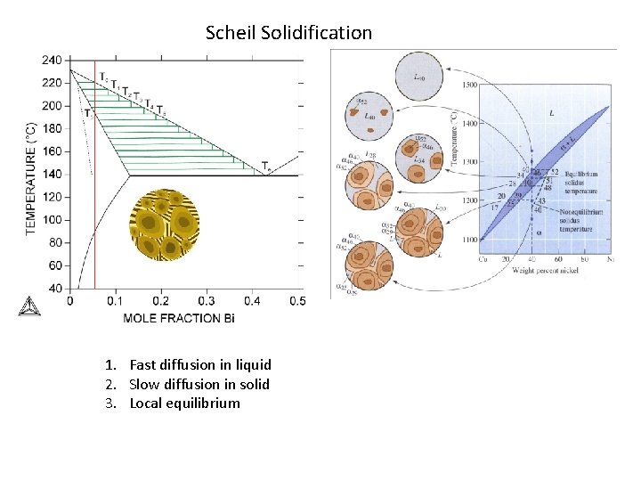 Scheil Solidification 1. Fast diffusion in liquid 2. Slow diffusion in solid 3. Local