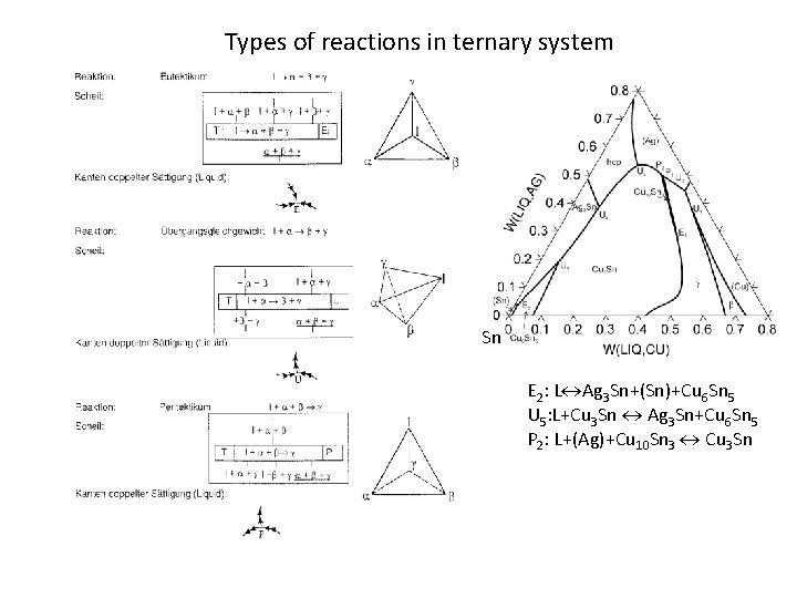 Types of reactions in ternary system Sn E 2: L Ag 3 Sn+(Sn)+Cu 6