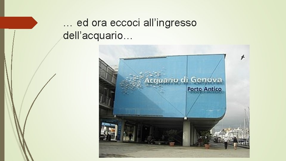 … ed ora eccoci all’ingresso dell’acquario… 