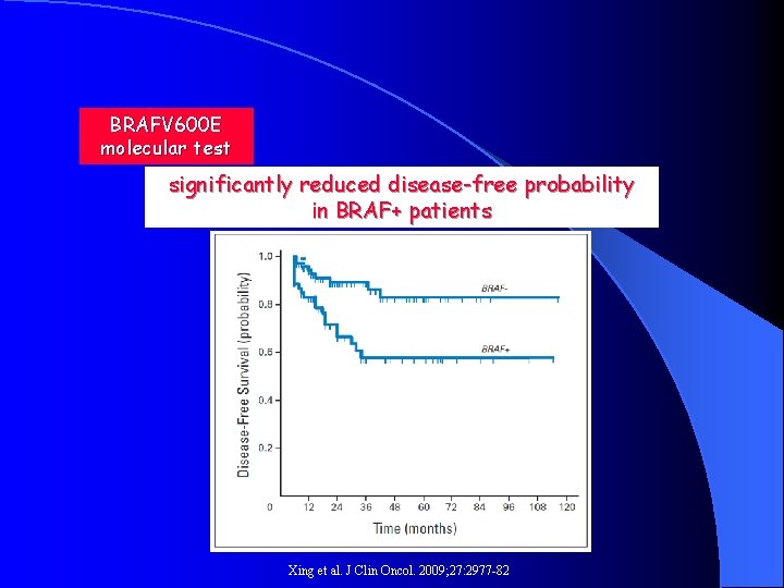 BRAFV 600 E molecular test significantly reduced disease-free probability in BRAF+ patients Xing et
