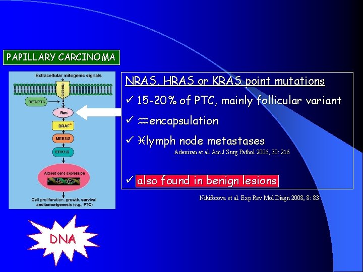 PAPILLARY CARCINOMA NRAS, HRAS or KRAS point mutations ü 15 -20% of PTC, mainly