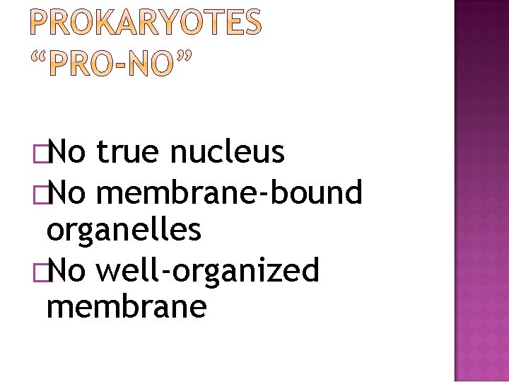 �No true nucleus �No membrane-bound organelles �No well-organized membrane 