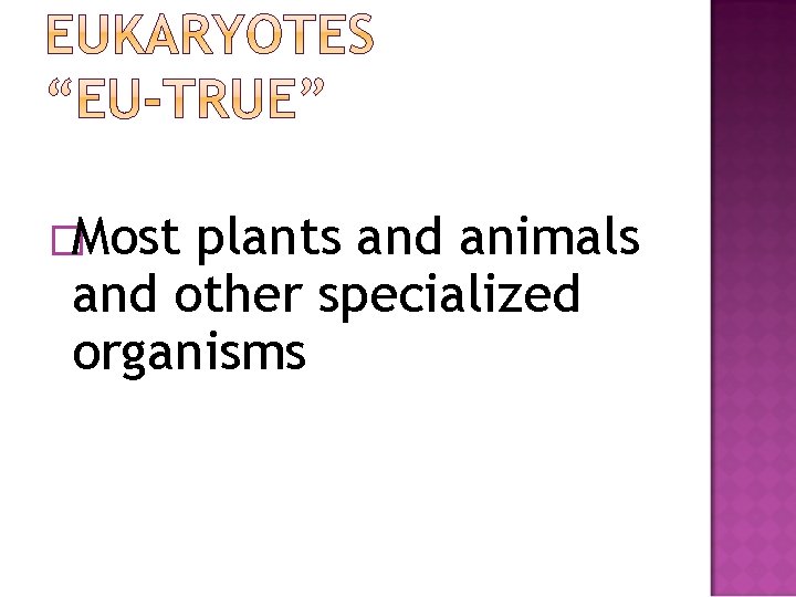 �Most plants and animals and other specialized organisms 