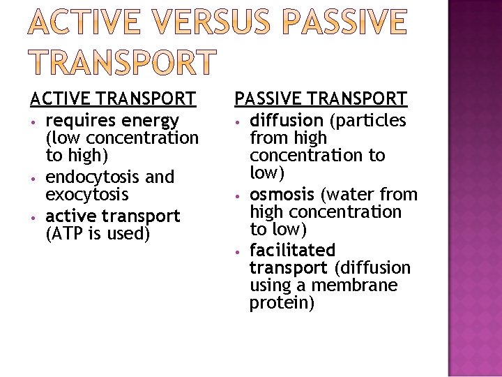 ACTIVE TRANSPORT • requires energy (low concentration to high) • endocytosis and exocytosis •