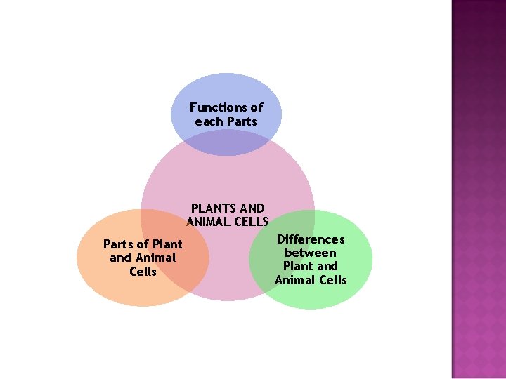 Functions of each Parts PLANTS AND ANIMAL CELLS Parts of Plant and Animal Cells