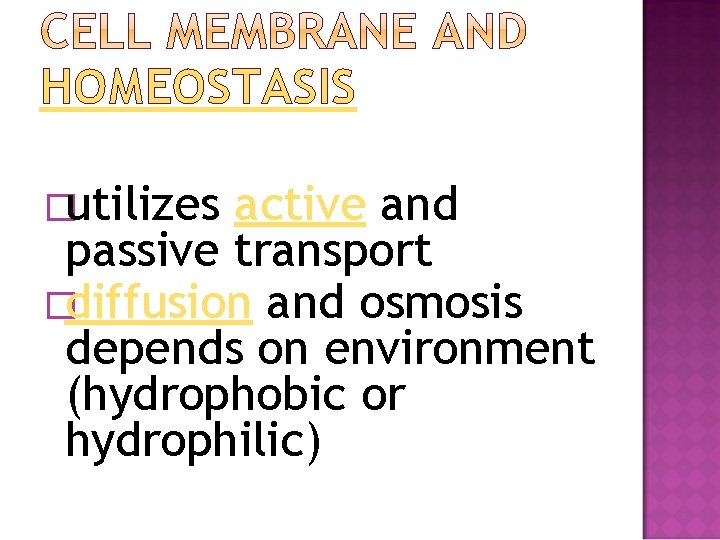 HOMEOSTASIS �utilizes active and passive transport �diffusion and osmosis depends on environment (hydrophobic or