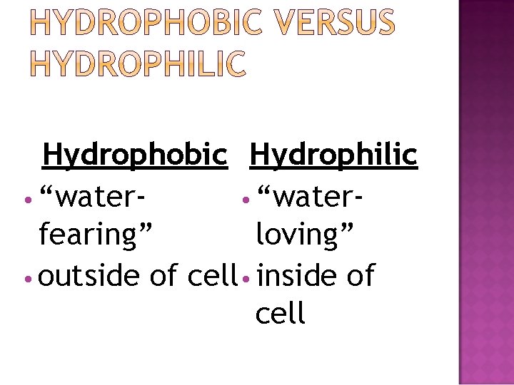 Hydrophobic Hydrophilic • “waterfearing” loving” • outside of cell • inside of cell 