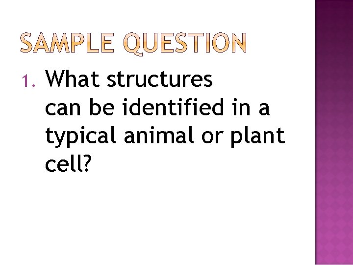 1. What structures can be identified in a typical animal or plant cell? 