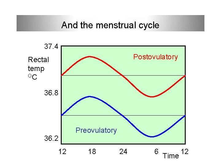 And the menstrual cycle 37. 4 Postovulatory Rectal temp OC 36. 8 36. 2