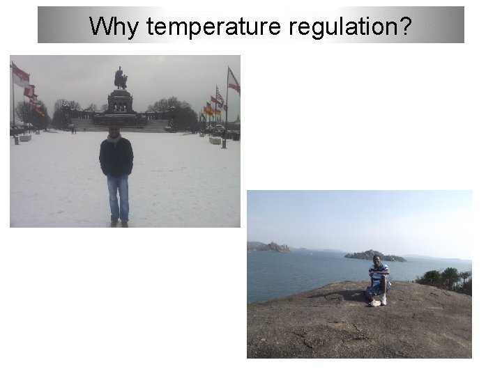 Why temperature regulation? 