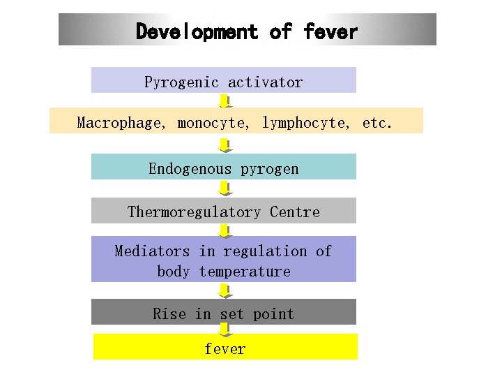 Development of fever Pyrogenic activator Macrophage, monocyte, lymphocyte, etc. Endogenous pyrogen Thermoregulatory Centre Mediators