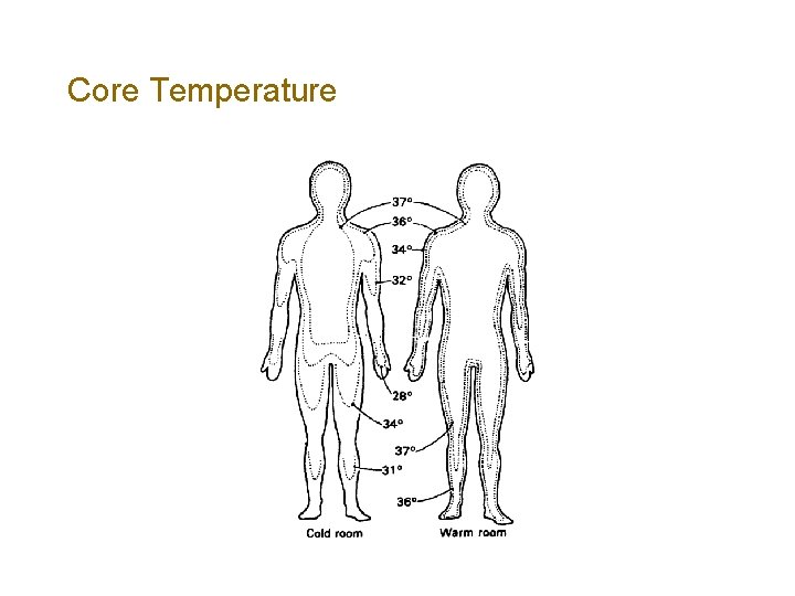 Core Temperature 