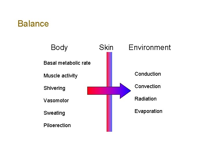 Balance Body Skin Environment Basal metabolic rate Muscle activity Conduction Shivering Convection Vasomotor Radiation