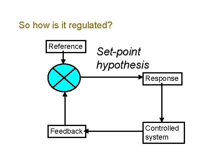 So how is it regulated? Reference Set-point hypothesis Response Feedback Controlled system 