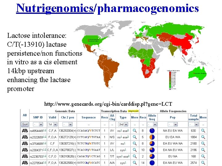 Nutrigenomics/pharmacogenomics Lactose intolerance: C/T(-13910) lactase persistence/non functions in vitro as a cis element 14