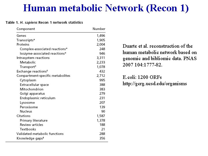 Human metabolic Network (Recon 1) Duarte et al. reconstruction of the human metabolic network