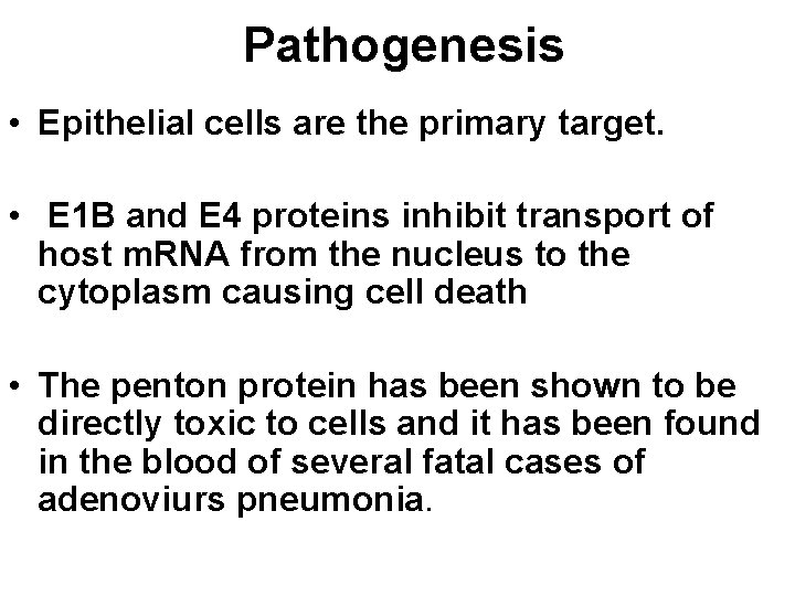 Pathogenesis • Epithelial cells are the primary target. • E 1 B and E