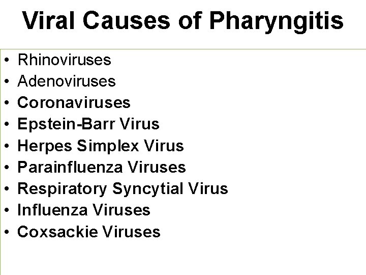 Viral Causes of Pharyngitis • • • Rhinoviruses Adenoviruses Coronaviruses Epstein-Barr Virus Herpes Simplex