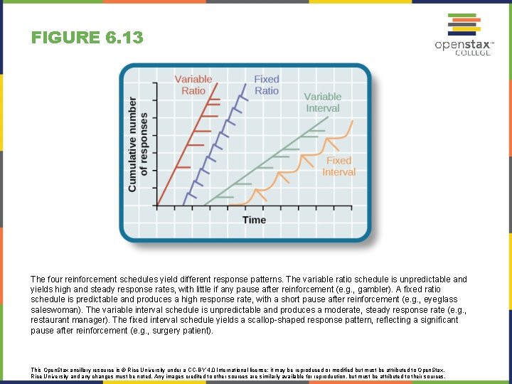 FIGURE 6. 13 The four reinforcement schedules yield different response patterns. The variable ratio