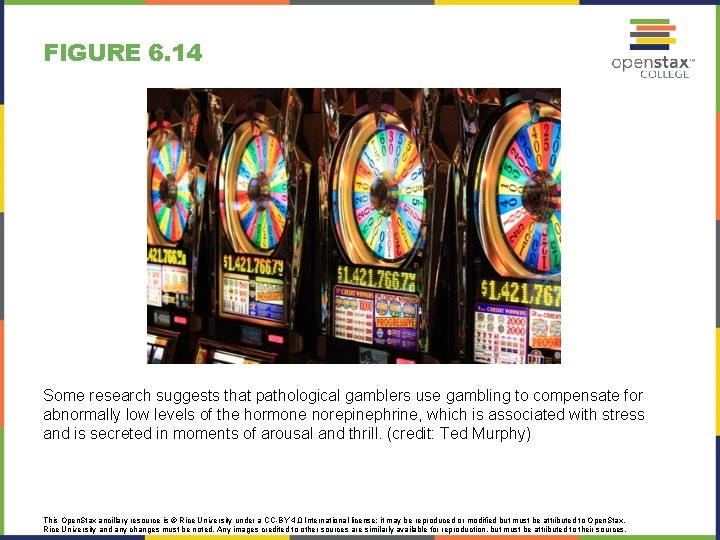 FIGURE 6. 14 Some research suggests that pathological gamblers use gambling to compensate for