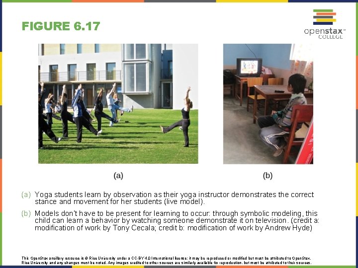 FIGURE 6. 17 (a) Yoga students learn by observation as their yoga instructor demonstrates