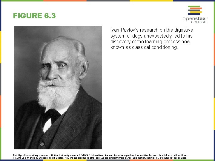 FIGURE 6. 3 Ivan Pavlov’s research on the digestive system of dogs unexpectedly led