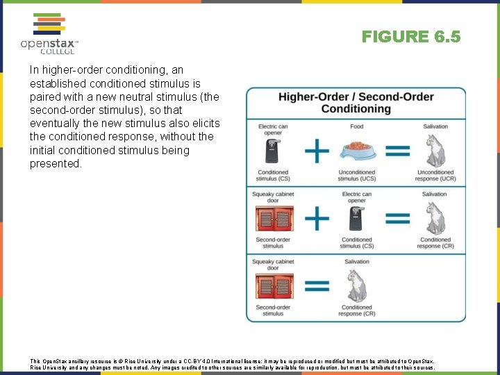 FIGURE 6. 5 In higher-order conditioning, an established conditioned stimulus is paired with a