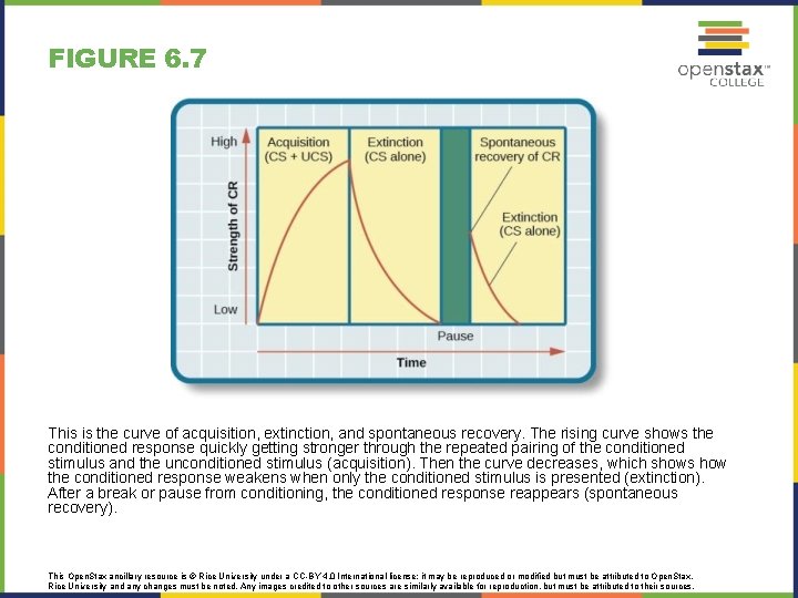 FIGURE 6. 7 This is the curve of acquisition, extinction, and spontaneous recovery. The