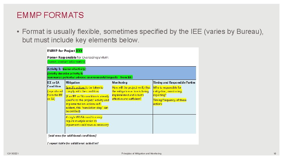 EMMP FORMATS • Format is usually flexible, sometimes specified by the IEE (varies by