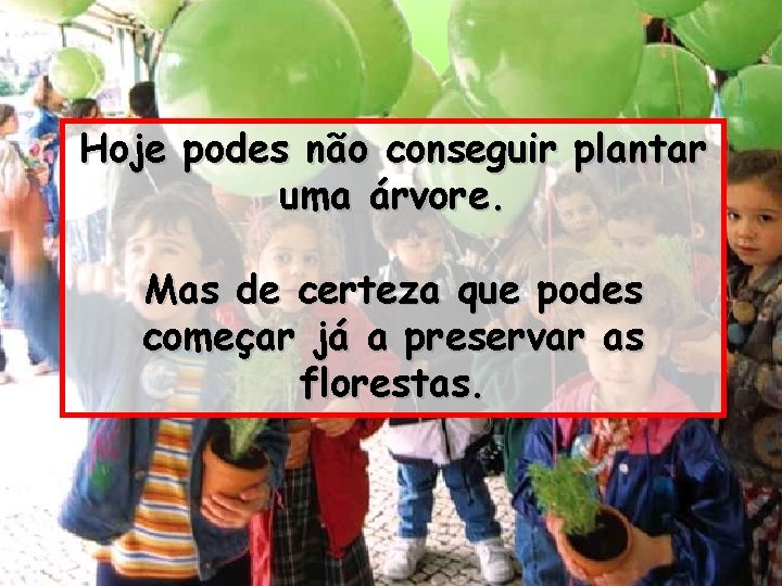 Hoje podes não conseguir plantar uma árvore. Mas de certeza que podes começar já