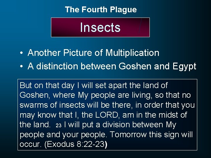 The Fourth Plague Insects • Another Picture of Multiplication • A distinction between Goshen