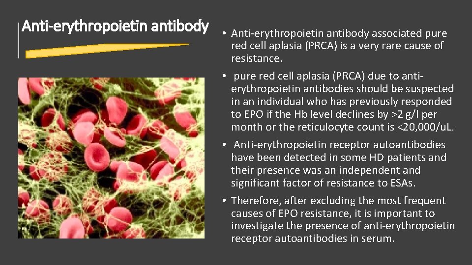 Anti-erythropoietin antibody • Anti-erythropoietin antibody associated pure red cell aplasia (PRCA) is a very