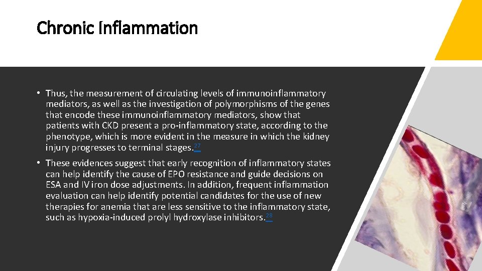 Chronic Inflammation • Thus, the measurement of circulating levels of immunoinflammatory mediators, as well