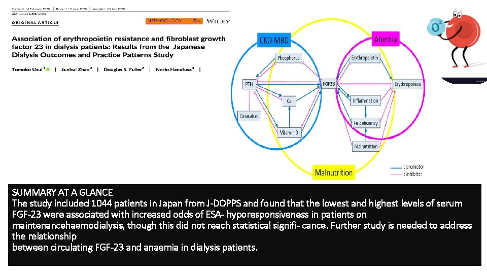 SUMMARY AT A GLANCE The study included 1044 patients in Japan from J-DOPPS and