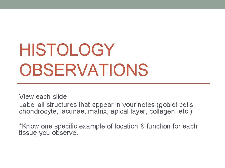 HISTOLOGY OBSERVATIONS View each slide Label all structures that appear in your notes (goblet