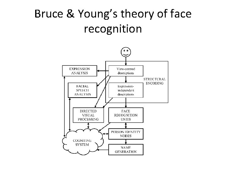 Bruce & Young’s theory of face recognition 