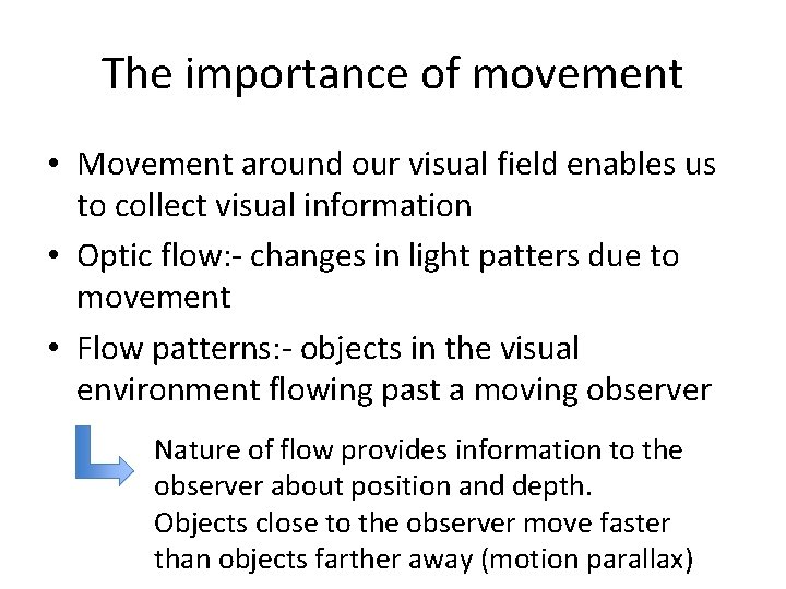 The importance of movement • Movement around our visual field enables us to collect